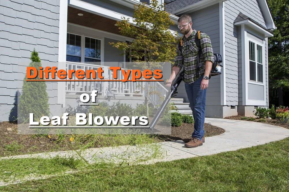 Different Types of leaf blowers