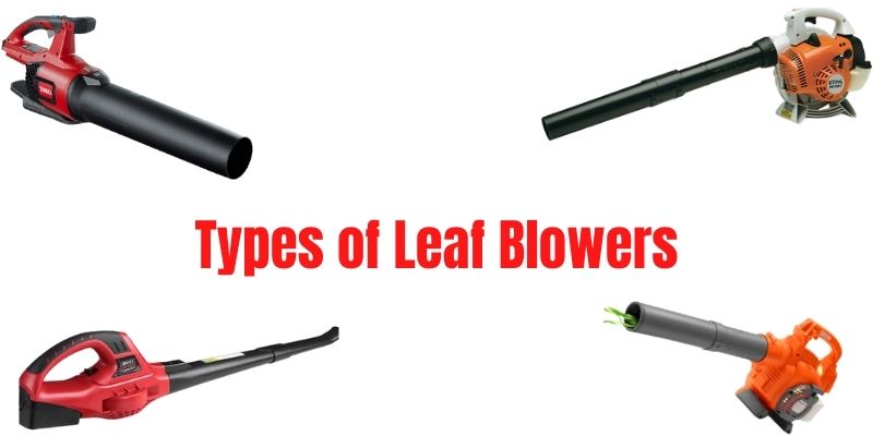6 Types of Leaf Blowers