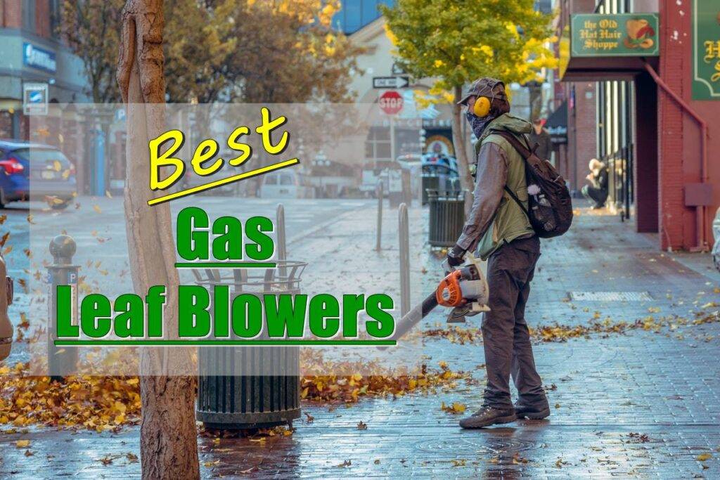 Best Budget Gas Leaf Blower reviews