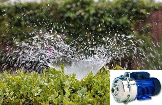 best sprinkler pumps reviews