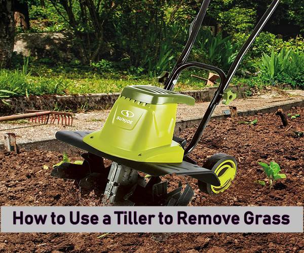 How To Use A Tiller To Remove Grass Grean Gardenist