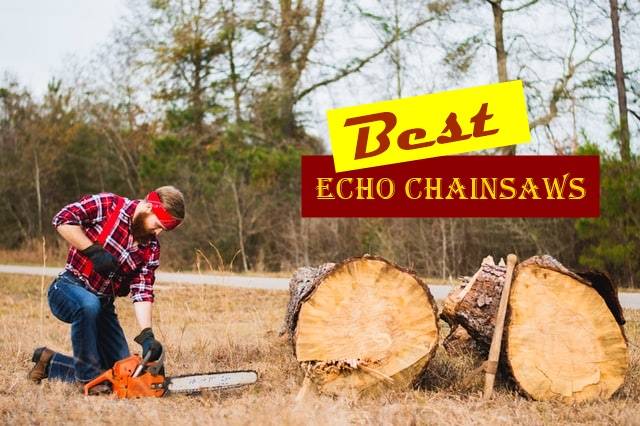 Best Echo Chainsaws reviews