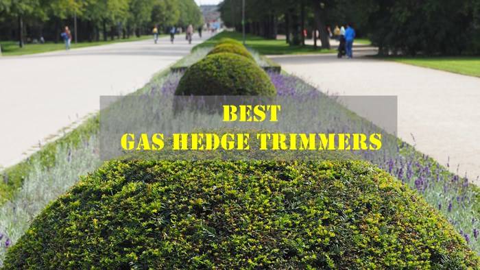 top Gas Hedge Trimmers
