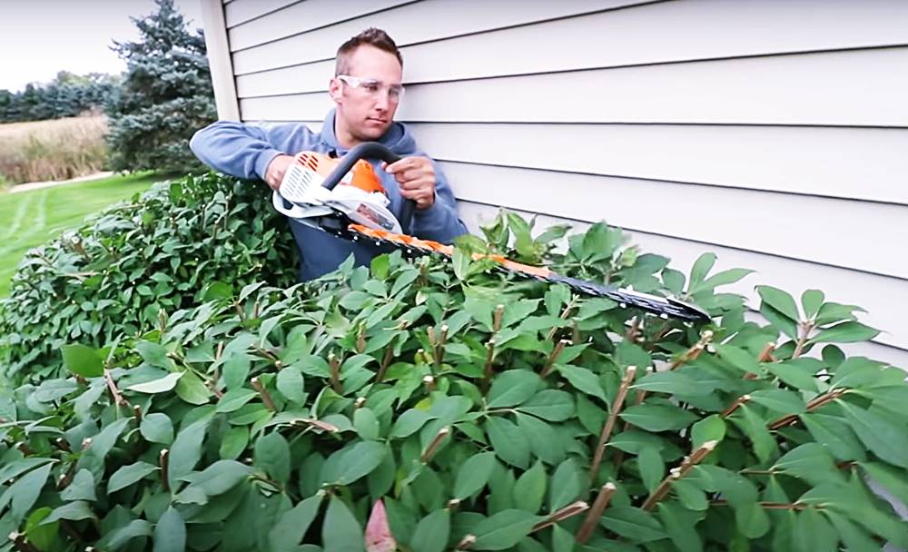 best gas hedge trimmer reviews