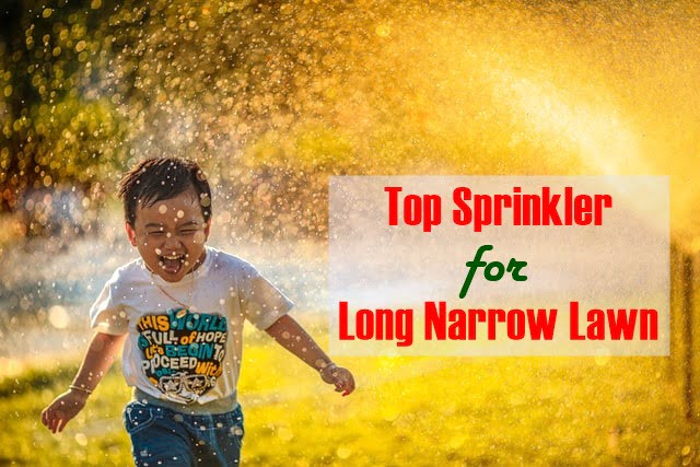 Sprinkler for Long Narrow Lawn review