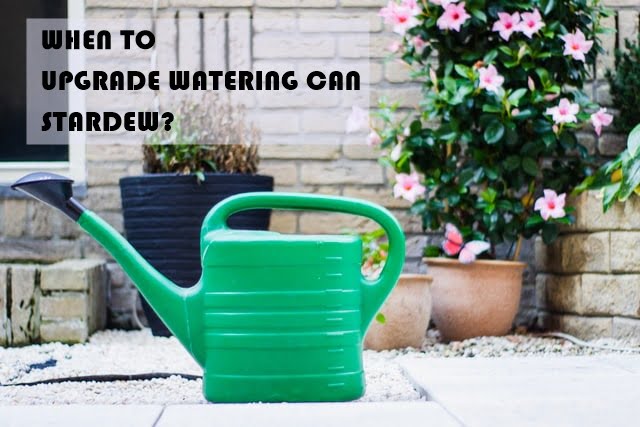 WATERING CAN STARDEW