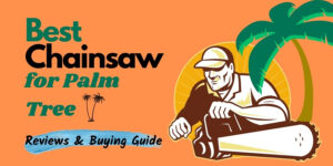 Chainsaw for Palm Tree reviews