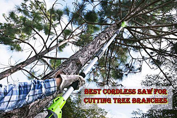 cutting tree branches