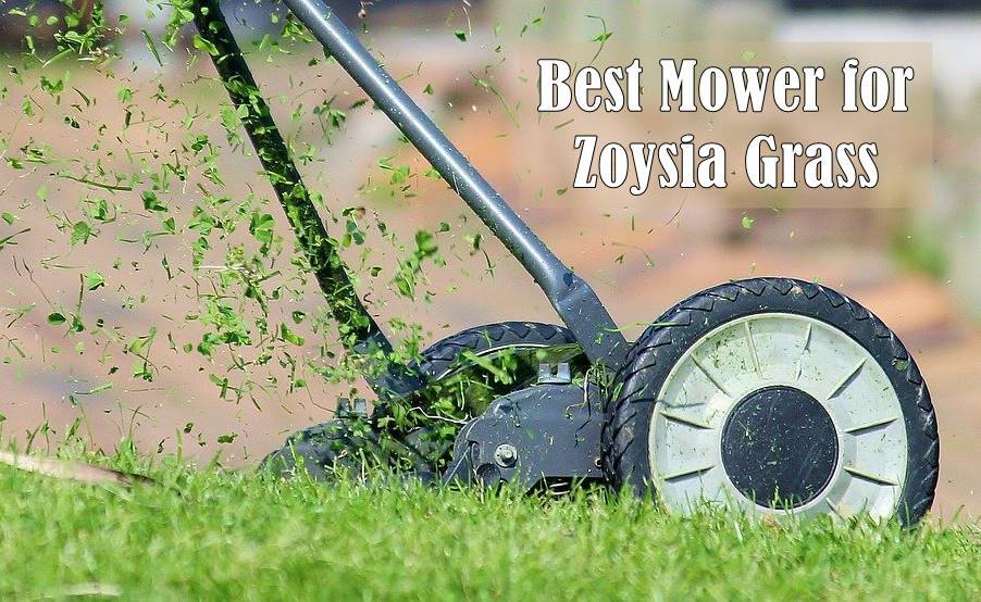 lawn mower for zoysia grass