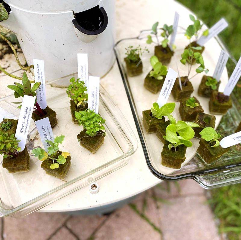 How to Make a Tower Garden? - Green Gardenist