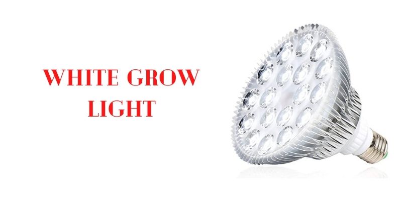 white grow light benefits