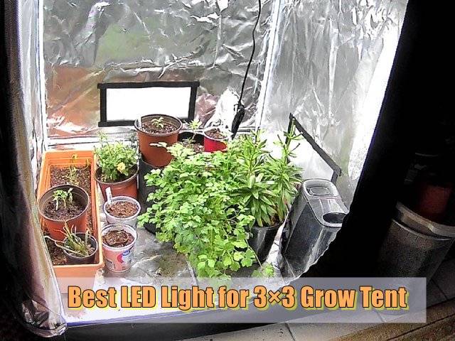 grow Light for 3×3 Tent