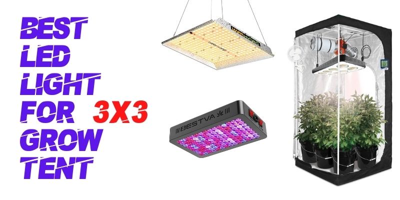 Best LED Light for 3×3 Grow Tent Reviews