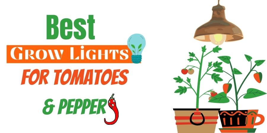 Grow Lights for Tomatoes and Peppers Reviews