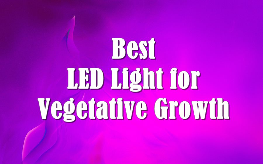 Best LED Light for Vegetative Growth Reviews