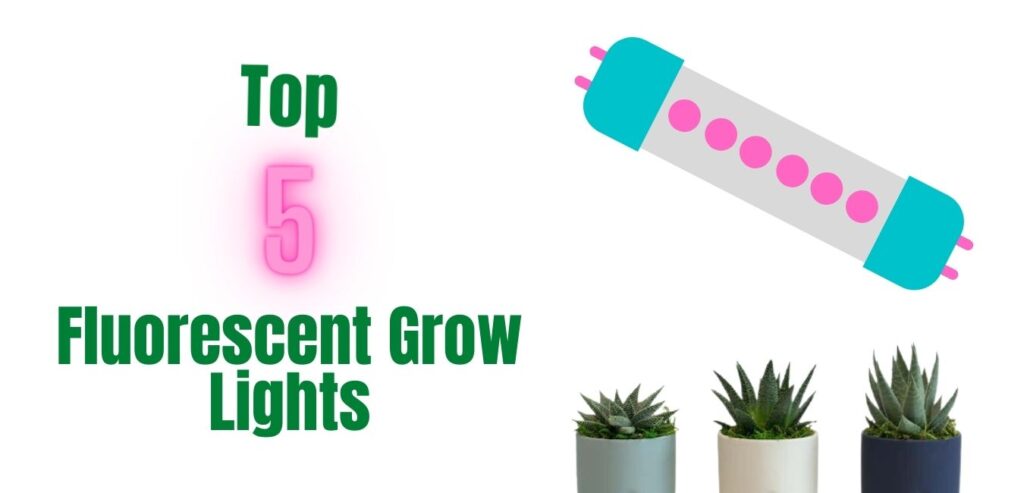 Fluorescent Grow Lights Reviews