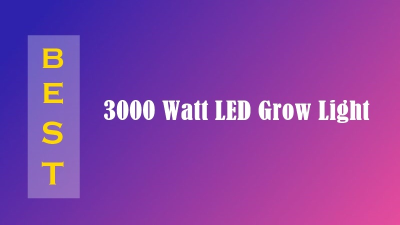 Best 3000 Watt LED Grow Light