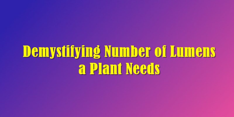 Number of Lumens a Plant Needs