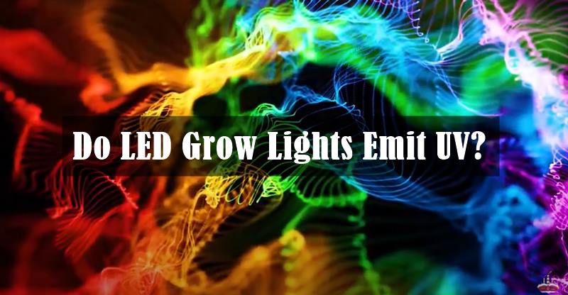 Do LED Grow Lights Emit UV