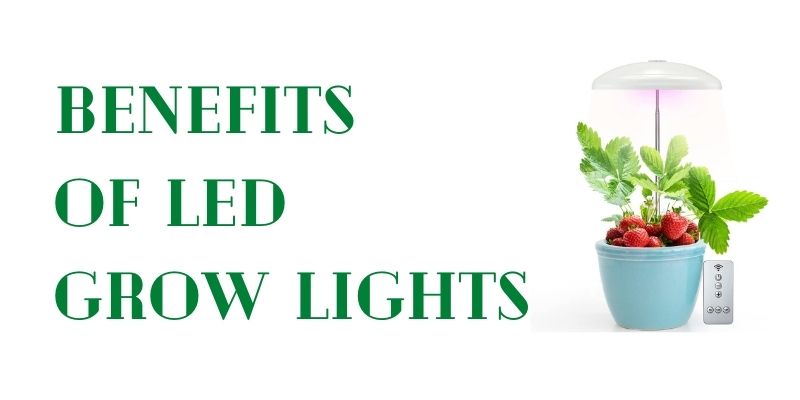 benefits of led grow lights