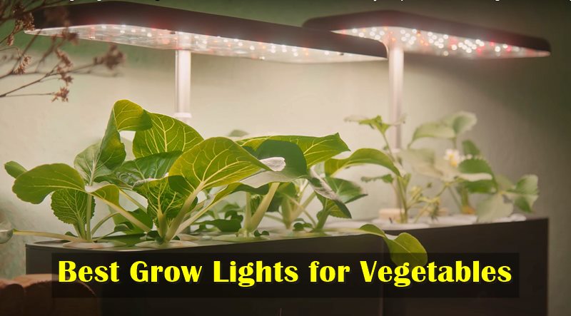 Grow Lights reviews for Vegetables