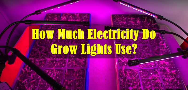 How Much Electricity Do Grow Lights Use