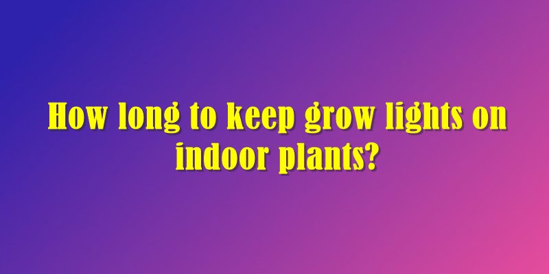 how-long-to-keep-grow-lights-on-indoor-plants