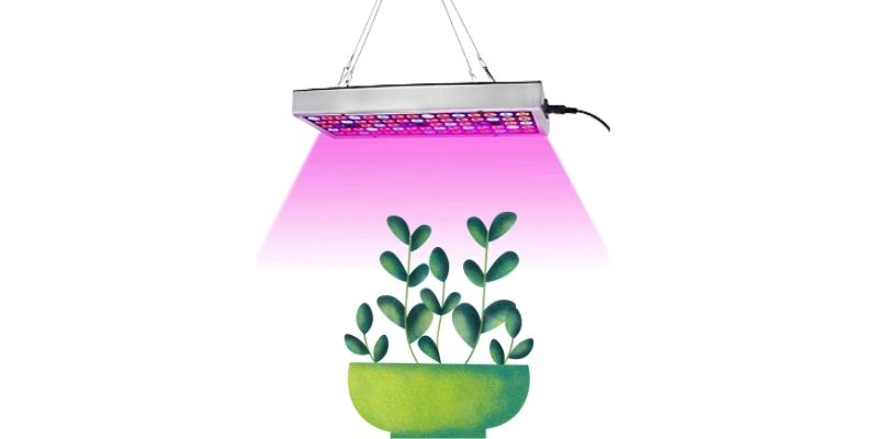 LED Grow Lights