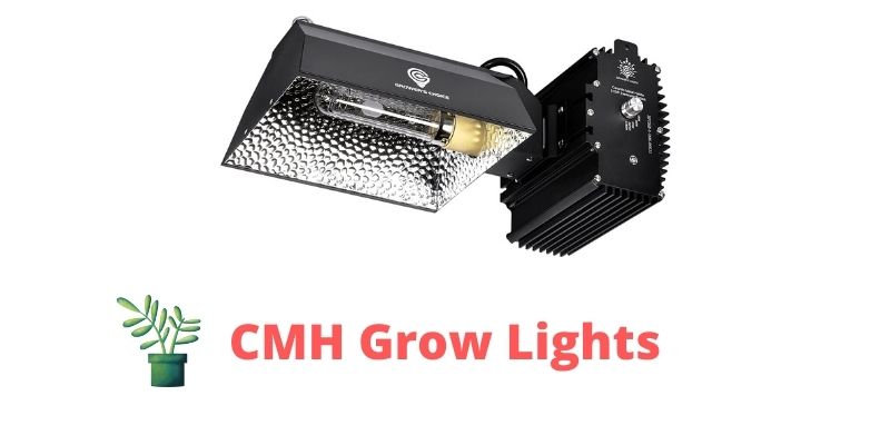 CMH Grow Light