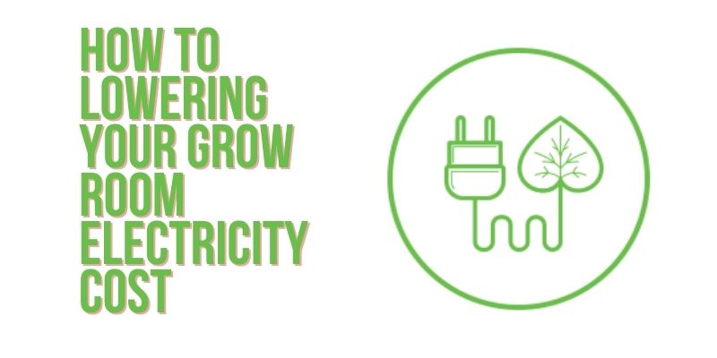 Lowering Your Grow Room Electricity Cost