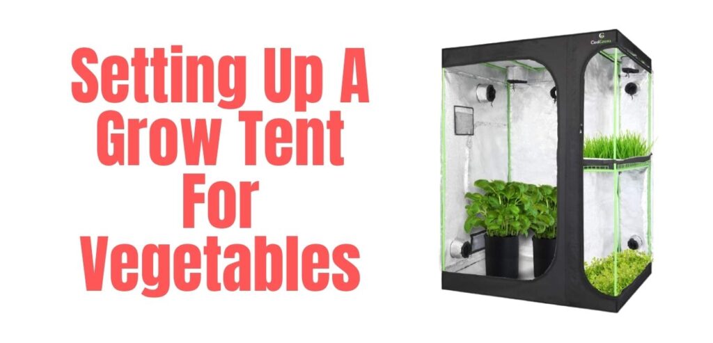 Setting Up A Grow Tent For Vegetables
